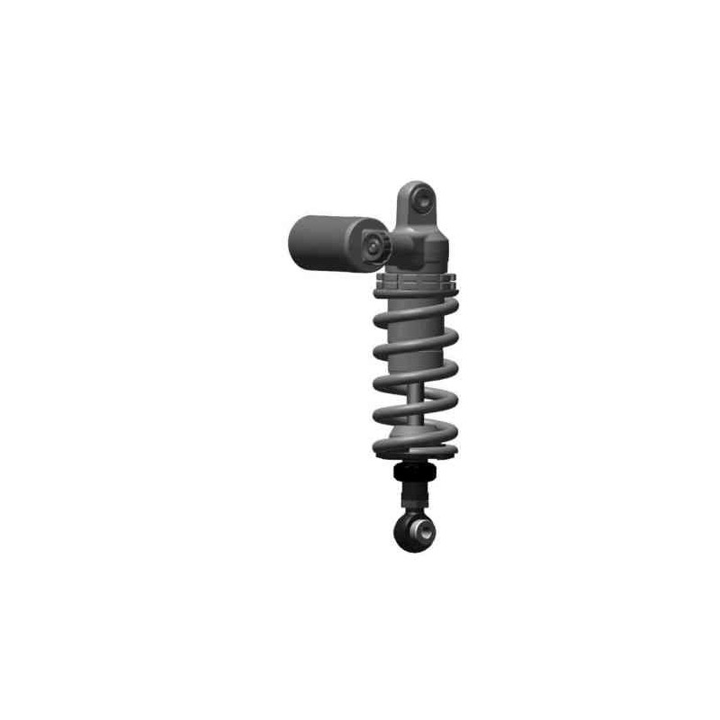 Rear shock absorber