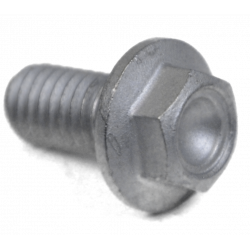 Screw w/ flange M6x12
