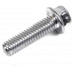 Screw w/ flange