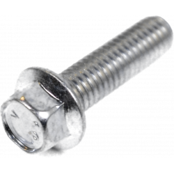 Screw w/ flange