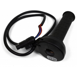 Electronic gas control