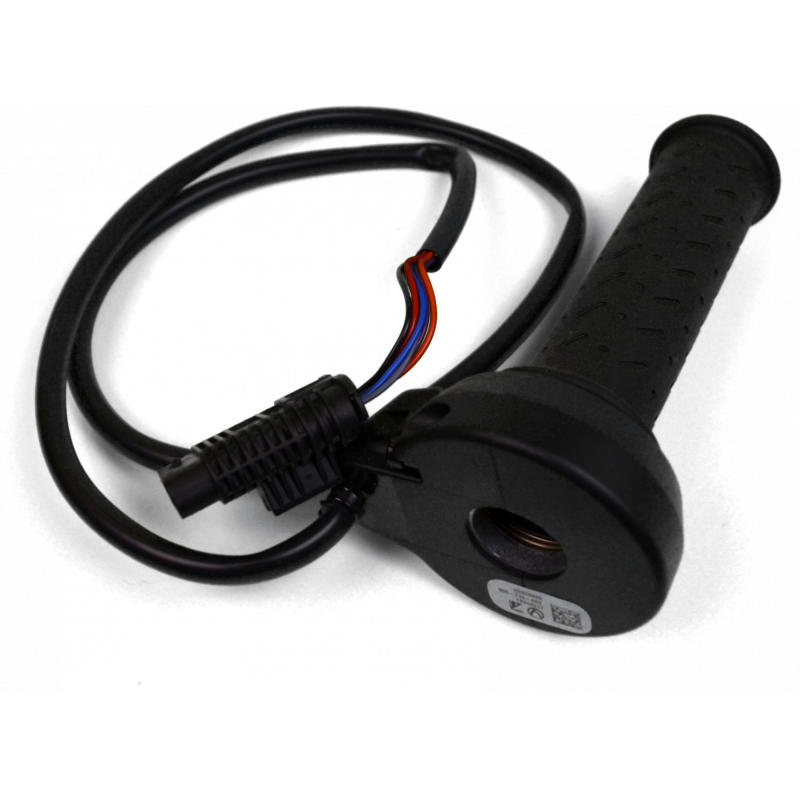 Electronic gas control