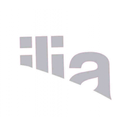Decal "IA" sx