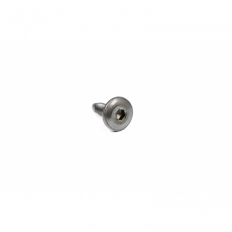Screw w/ flange M5x12