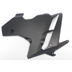 LH internal fairing No decals [ND] Not painted [Non Verniciato]