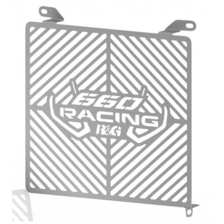 R&G Branded Radiator Guard RS 660 - Tuono 660