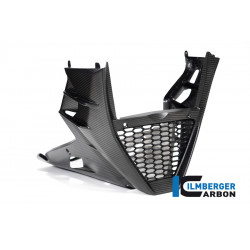 Ilmberger Bellypan one piece gloss Tuono V4 from 2021