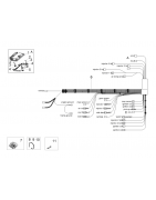 Electrical system III