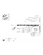 Rear electrical system